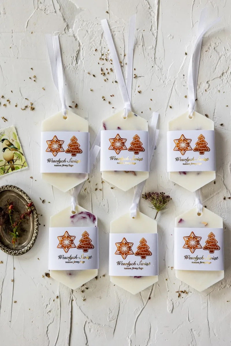 Zawieszki Sojowe - SJ4