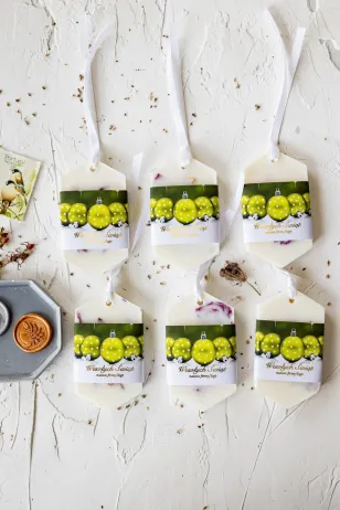 Zawieszki Sojowe - SJ13